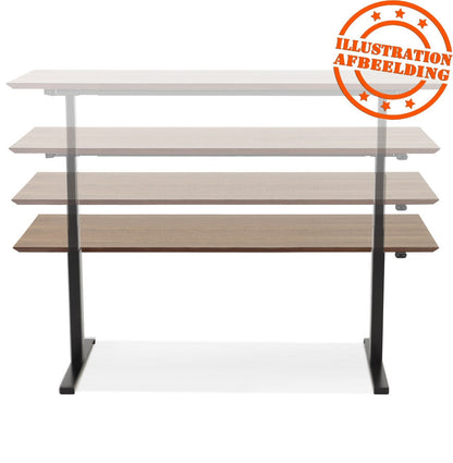 Nobelle | Elektrisches Sitz-Steh-Büro – Ergonomisch & stilvoll-OfficeKing